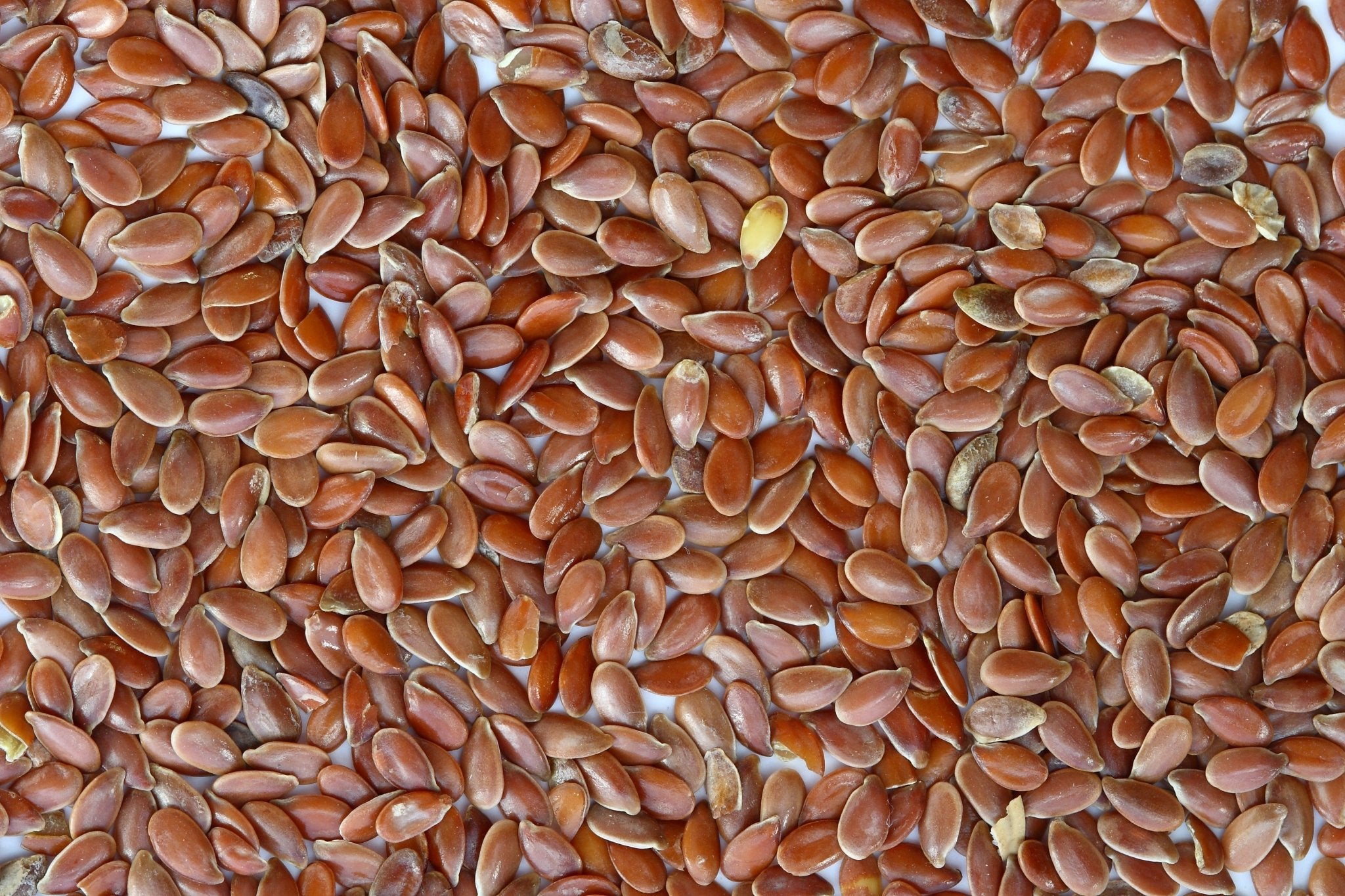 Dakshayanii Flax Seeds - Koshbazaar - 