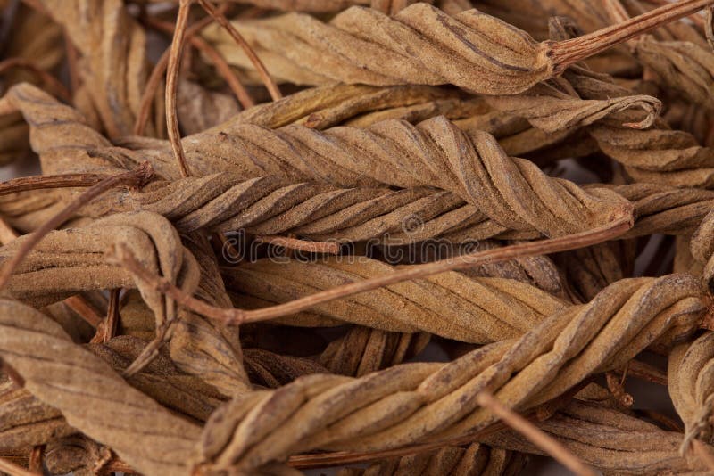 Dakshayanii Marod - Koshbazaar - 