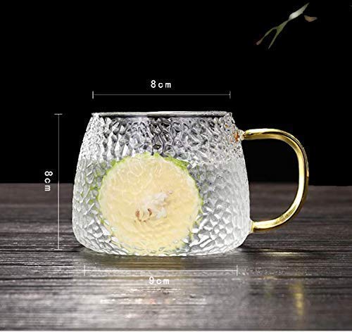 Dakshayanii Tea and Coffee Cup Glass Mug(410 ml) - Koshbazaar - 